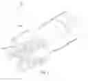 Fig. 02 - High impact resistant tool with an apex width between a first and second transitions
