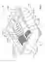 Fig. 02 - COIN HOLDER FOR CASH REGISTER