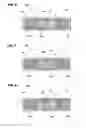 Fig. 06 - IC tag
