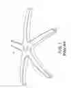 Fig. 02 - BASE ASSEMBLY FOR OFFICE CHAIR