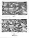 Fig. 07 - Sub-pixel analysis and display of fine grained mineral samples