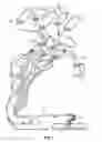 Fig. 03 - Non-Invasive Identification Of Solutions