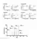 Fig. 07 - Sample plate using MALDI-TOF mass spectrometer and manufacturing method of the sample plate