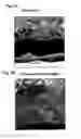 Fig. 03 - Conductive fine particle and metal paste for electrode formation and electrode