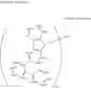 Fig. 80 - Transparent electrode, method for manufacturing transparent electrode, electronic device, and organic electroluminescence element