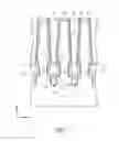 Fig. 08 - Silicon buried digit line access device and method of forming the same