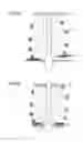Fig. 03 - Vehicle suspension device