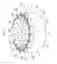 Fig. 02 - STATOR
