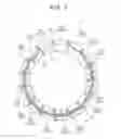 Fig. 04 - STATOR