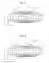 Fig. 07 - Rotating machinery with three-phase armature windings and first and second parallel windings
