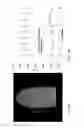 Fig. 07 - System and method for free-breathing volumetric imaging of cardiac tissue