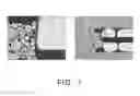 Fig. 02 - Chip electronic component and method of manufacturing the same