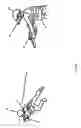 Fig. 04 - Wearable, non-visible identification device for friendly force identification and intruder detection
