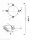 Fig. 09 - Sensory prosthetic for improved balance control