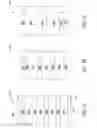 Fig. 07 - Distributed blanking for touch optimization