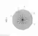 Fig. 04 - Illumination apparatus with image projection