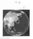 Fig. 05 - Visualization Method Of Entire Grid Data Of Numerical Weather Prediction Model Having Ultra-High Grid Resolution By Magnification Mode And Hardware Device Performing The Same