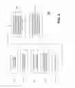 Fig. 07 - Shared virtual memory