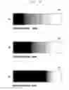 Fig. 05 - Electronic device and operating method for displaying an image including an imperceivable region