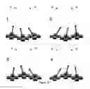 Fig. 24 - Stereoscopic display