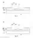 Fig. 06 - Pixel structure and display panel