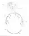 Fig. 02 - Light measurement apparatus