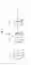 Fig. 02 - Zoom lens system having first, second, and fourth lens groups which move during zooming