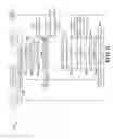 Fig. 16 - ADAPTIVE BROADCAST MULTICAST SERVICE AREA AND ADAPTIVE SINGLE FREQUENCY NETWORK AREA