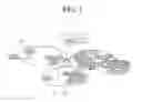 Fig. 02 - METHOD FOR REDUCING OVERHEAD OF CONTROL SIGNAL DURING CONNECTION OF PLURAL LTE BASE STATIONS