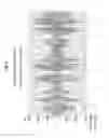Fig. 04 - APPARATUS AND METHOD FOR CARRIER STATE MODULATION