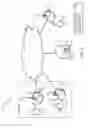 Fig. 02 - Call handling