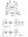Fig. 02 - Wireless sound transmission and method
