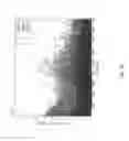 Fig. 09 - Adaptive inter-channel transform for wavelet color image compression