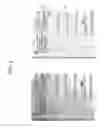 Fig. 06 - System and method for enhancing the legibility of degraded images