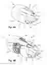 Fig. 06 - Integrated nozzle and plug