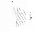 Fig. 06 - PROGRESSING CAVITY PUMP/MOTOR