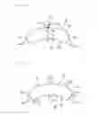 Fig. 05 - METHOD FOR PRODUCING RARE EARTH SINTERED MAGNET, AND MOLD
