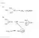 Fig. 02 - Bactericidal water generating system and method of bactericidal washing