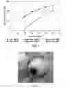 Fig. 02 - COMPOSITIONS AND METHODS FOR GAS CAPTURE PROCESSES