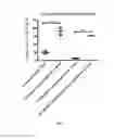 Fig. 07 - Modular nanodevices for smart adaptable vaccines