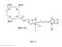 Fig. 02 - Molecular probes for multimodality imaging and tracking of stem cells