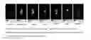 Fig. 09 - Molecular probes for multimodality imaging and tracking of stem cells
