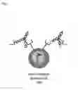 Fig. 03 - DUAL SPECIFIC BINDING PROTEINS DIRECTED AGAINST IMMUNE CELL RECEPTORS AND AUTOANTIGENS