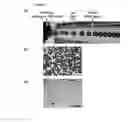 Fig. 02 - Preparation method of organic microbubble complex particle, organic microbubble complex particle, and ultrasound contrast agent