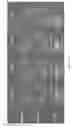 Fig. 06 - SMALL MAGNETITE THERAPEUTICS AND METHODS OF USE THEREOF
