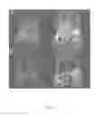Fig. 08 - SMALL MAGNETITE THERAPEUTICS AND METHODS OF USE THEREOF