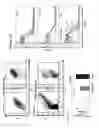 Fig. 08 - Compositions and methods for inducing thrombopoiesis