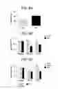 Fig. 07 - Methods of treating pain and inducing analgesia