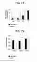 Fig. 08 - Methods of treating pain and inducing analgesia