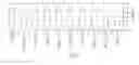 Fig. 06 - COMPOSITIONS AND METHODS FOR TREATING CANCER